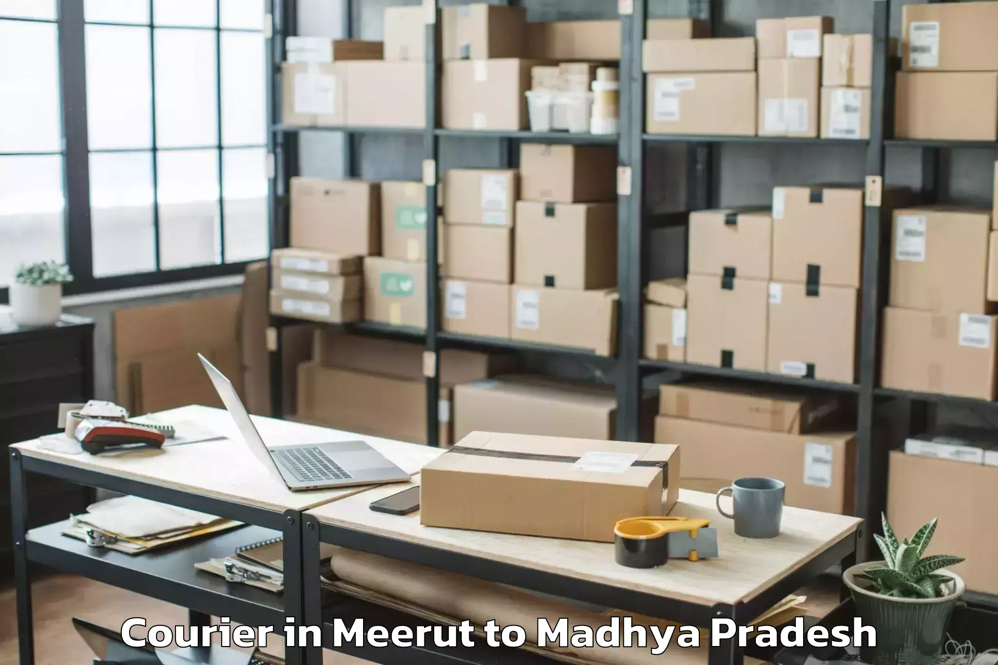 Trusted Meerut to Khurai Courier